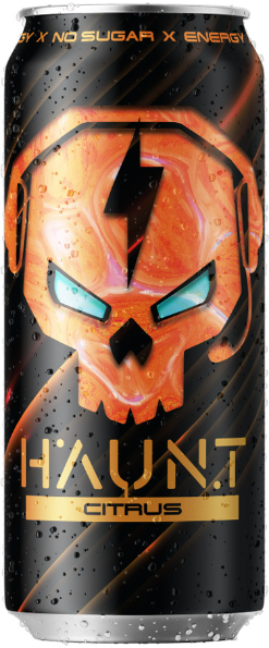 HAUNT, 500мл