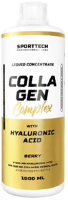 Collagen Complex with Hyaluronic Acid, 500мл